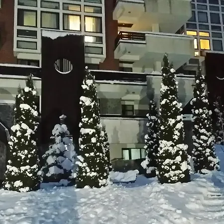 13 Si 16 In Oxygen Sinaia