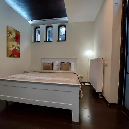 13 Si 16 In Oxygen Apartment Sinaia